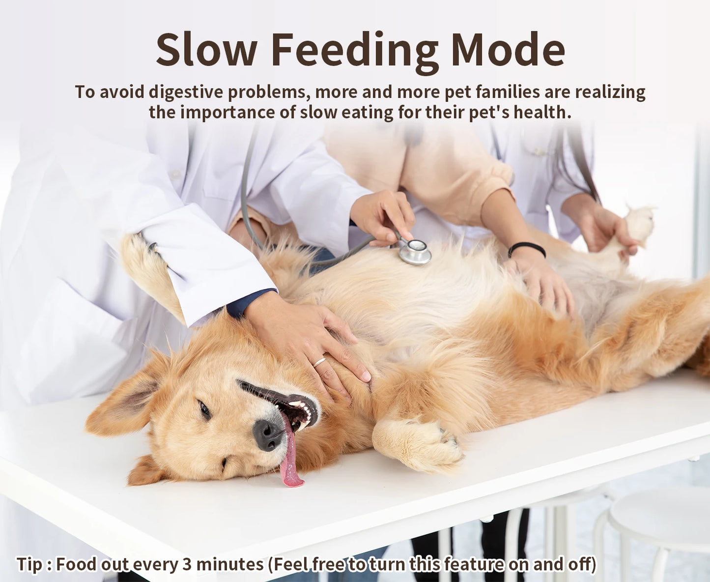 Smart PetFeeder with Remote Control